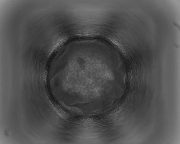 X0000091690735200709131606