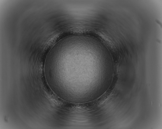 X0000091690737200709131606