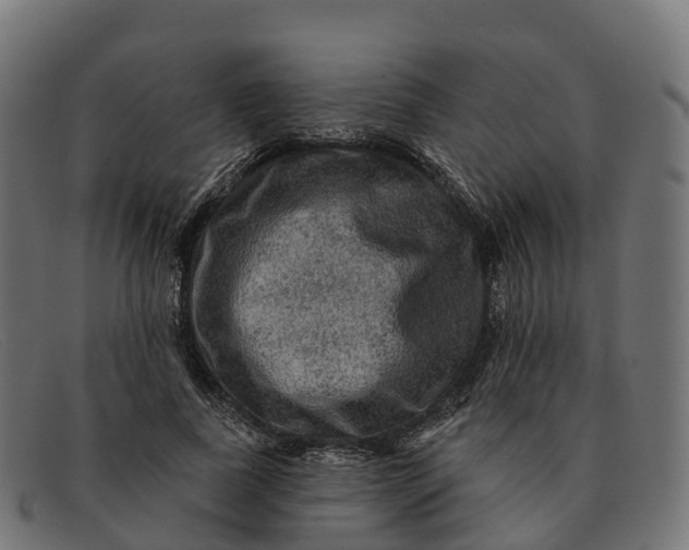 X0000091690739200709131607