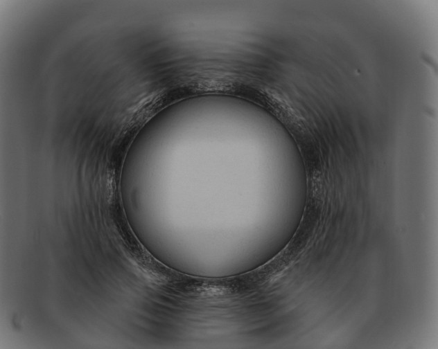 X0000091690741200709131607