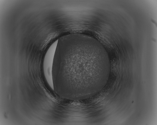 X0000091690742200709131607