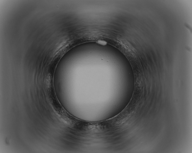 X0000091690744200709131607