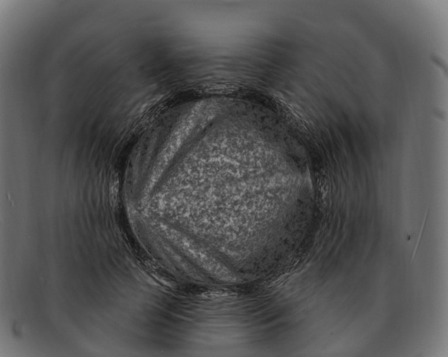 X0000091690745200709131607