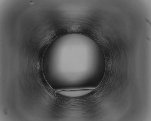 X0000091690746200709131607