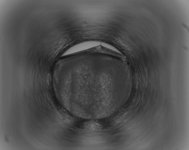 X0000091690747200709131607