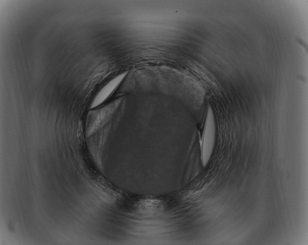 X0000091690748200709131607