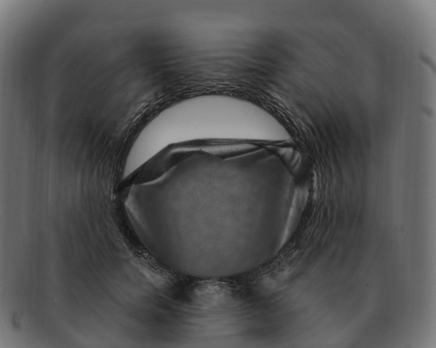 X0000091690750200709131607