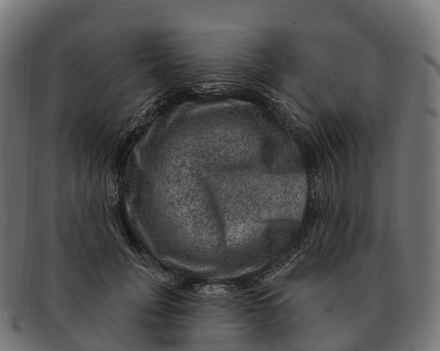 X0000091690751200709131607