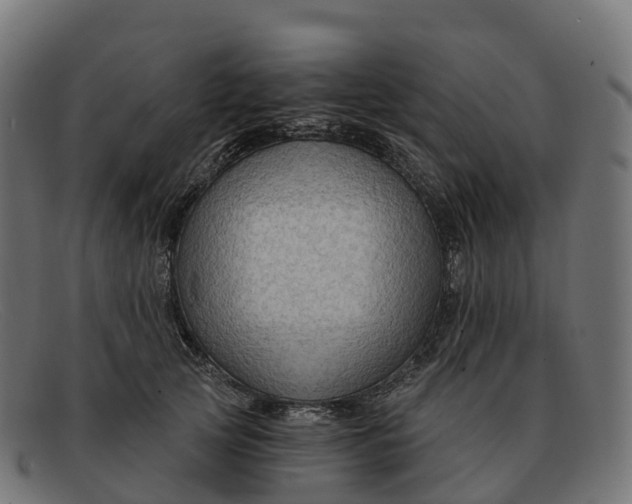 X0000091690753200709131607