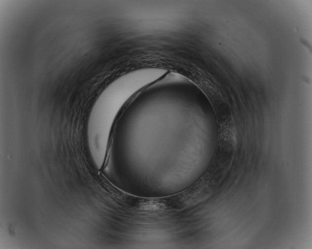 X0000091690754200709131607