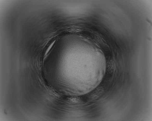 X0000091690755200709131607