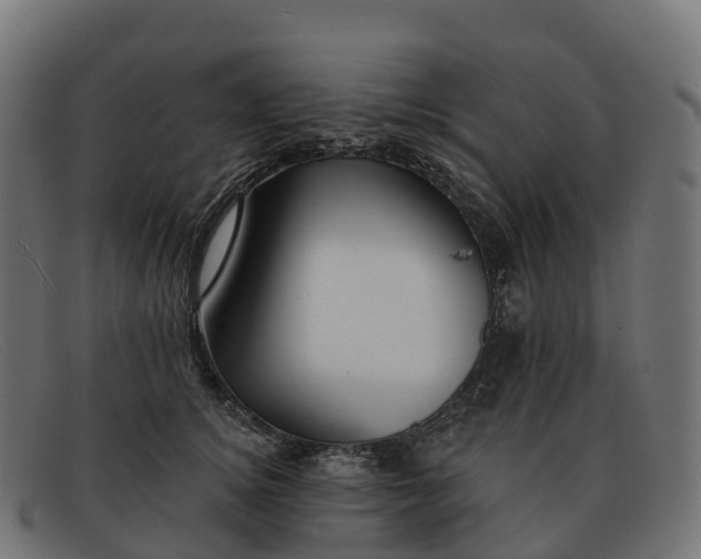 X0000091690756200709131607