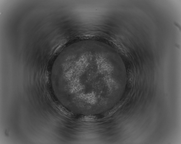 X0000091690758200709131607