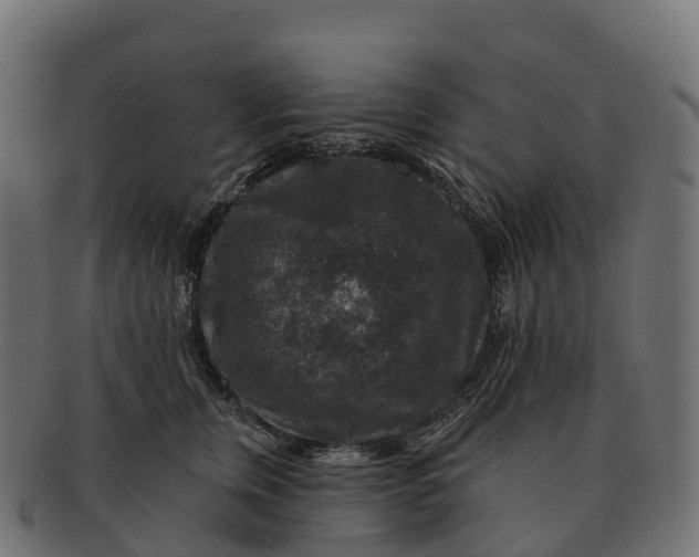 X0000091690759200709131607