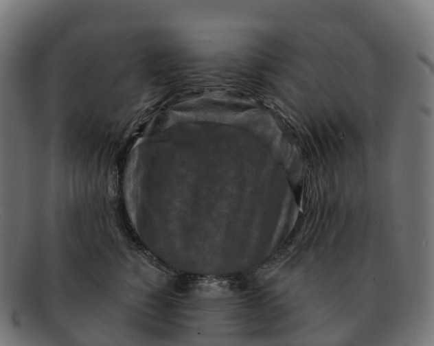 X0000091690760200709131607