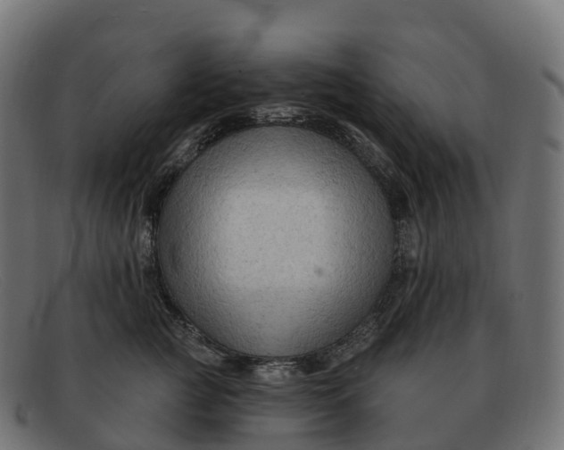 X0000091690761200709131607