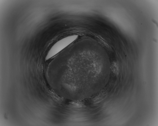 X0000091690763200709131607