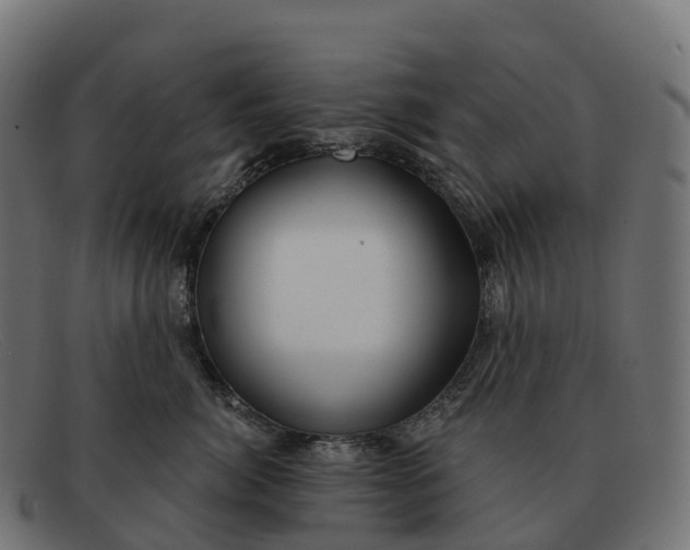 X0000091690764200709131607