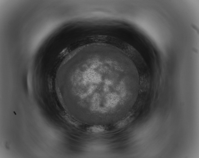 X0000091690765200709131607