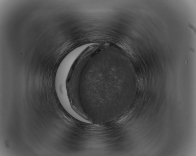 X0000091690766200709131607