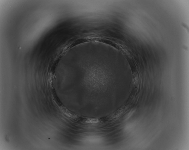 X0000091690767200709131607