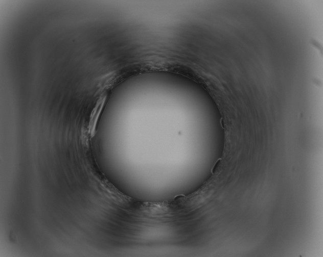 X0000091690768200709131607