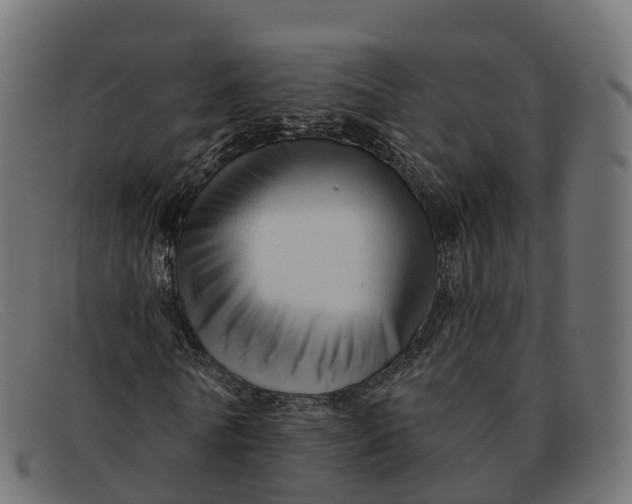 X0000091690770200709131606