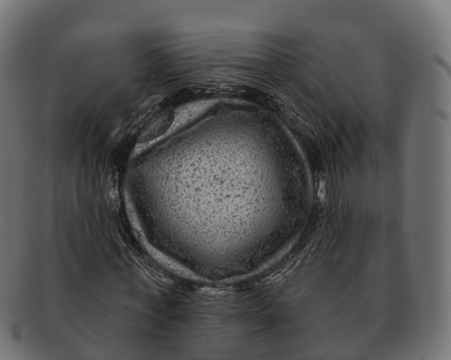 X0000091690771200709131606