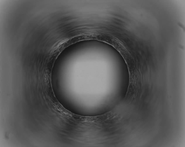 X0000091690773200709131606