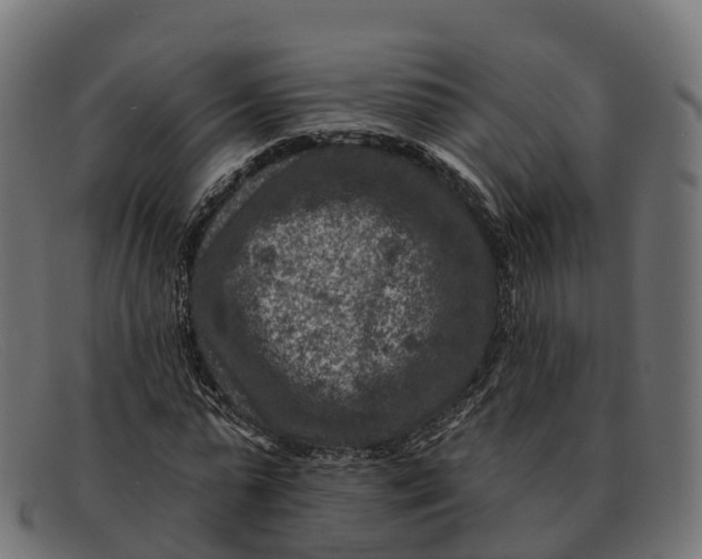 X0000091690775200709131606