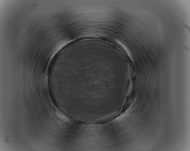 X0000091690779200709131606