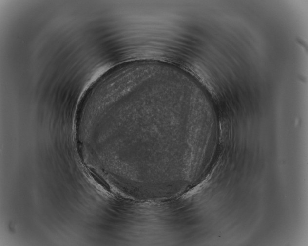 X0000091690780200709131606