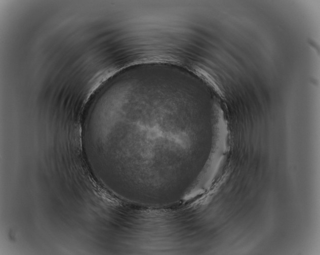 X0000091690781200709131606