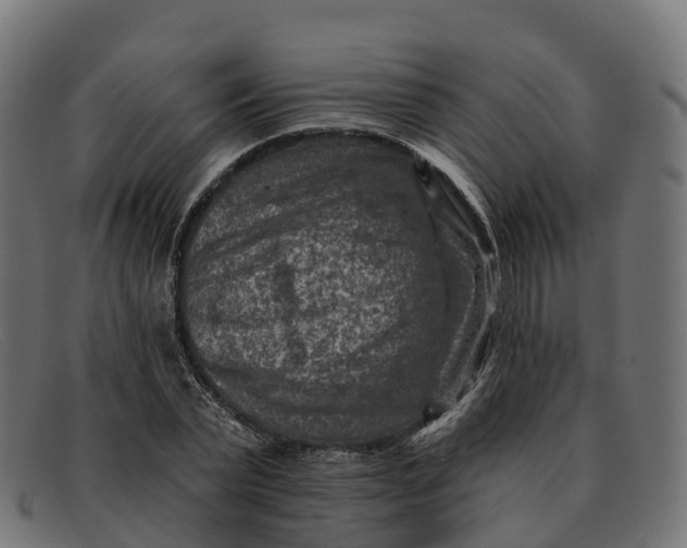 X0000091690783200709131606