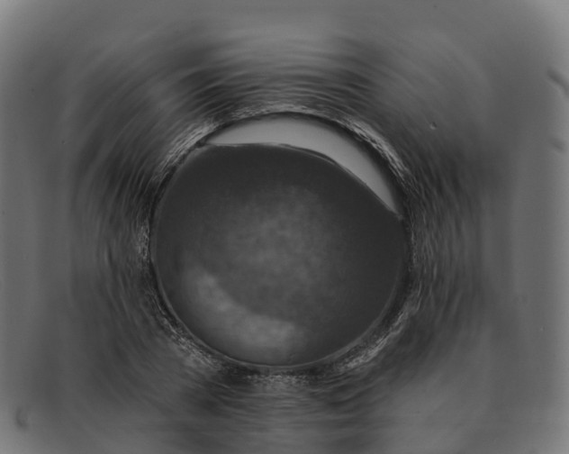 X0000091690785200709131606