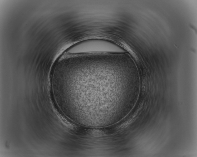 X0000091690787200709131606