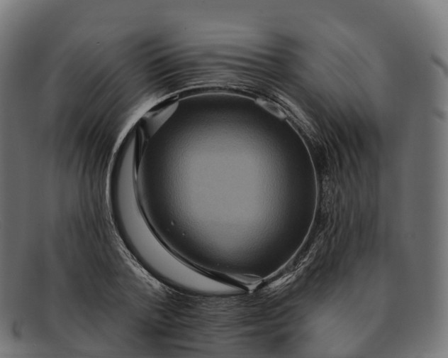 X0000091690788200709131606