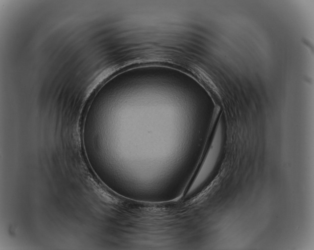 X0000091690789200709131606