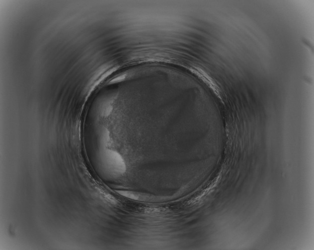 X0000091690790200709131606