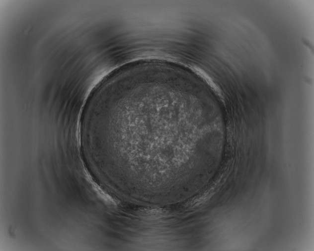 X0000091690791200709131606