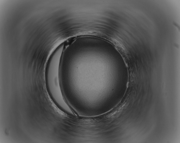 X0000091690792200709131606