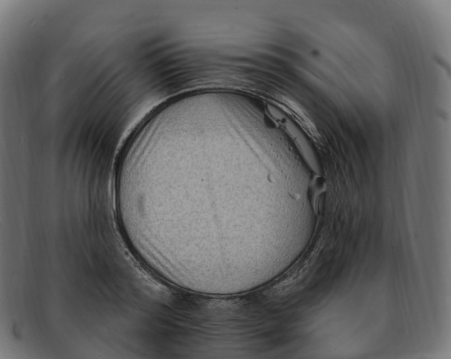 X0000091690796200709131606