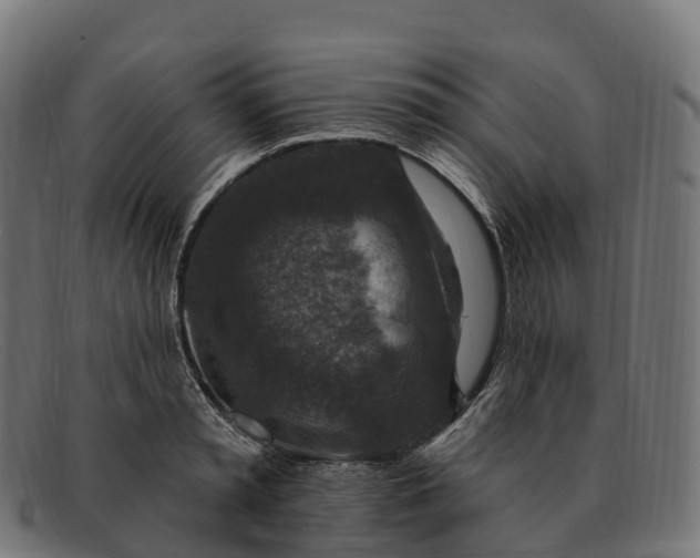 X0000091690797200709131606