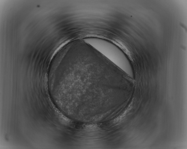 X0000091690798200709131606