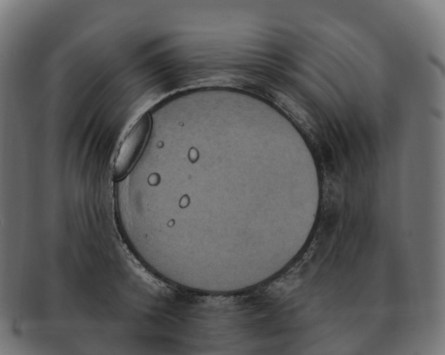 X0000091690800200709131606