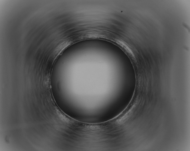 X0000091690801200709131606