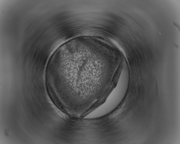 X0000091690803200709131606