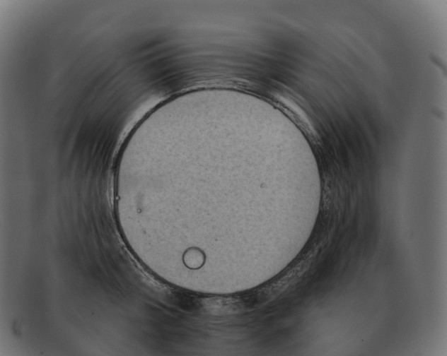 X0000091690804200709131606