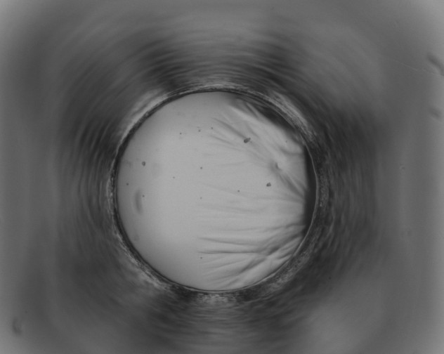 X0000091690806200709131606