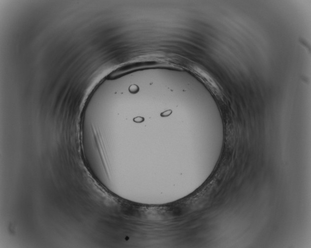 X0000091690808200709131606